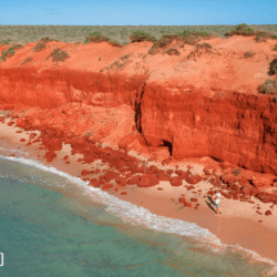 Shark Bay, Australia