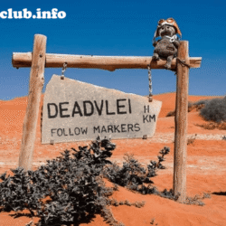 greentravelclub