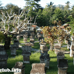 greentravelclub