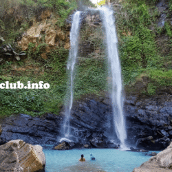 greentravelclub