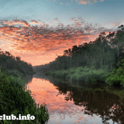 greentravelclub