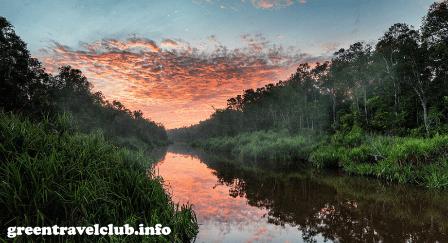 greentravelclub