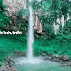greentravelclub