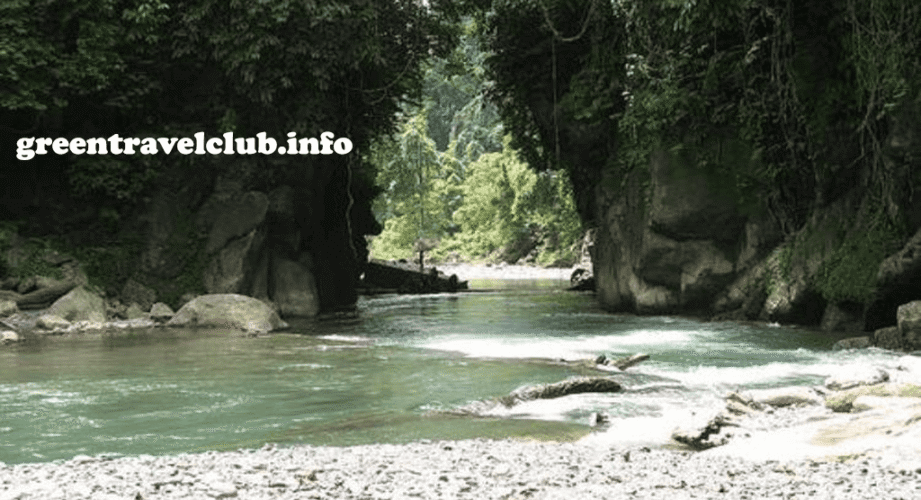 Tangkahan Langkat: Keindahan Wisata Alam di Hutan Sumatera Utara yang Memikat Hati