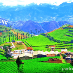 greentravelclub