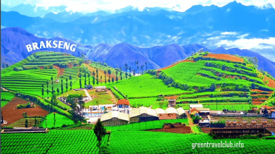 greentravelclub