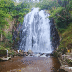 greentravelclub.info