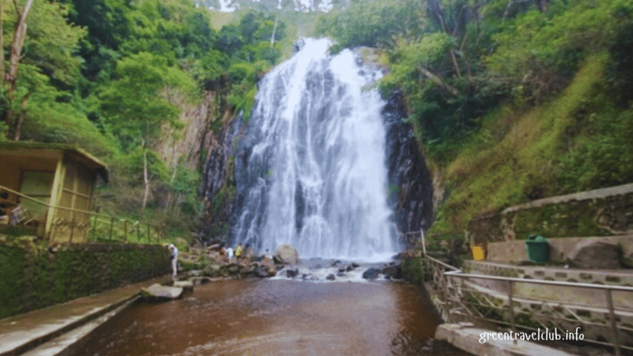 greentravelclub.info