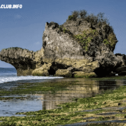 greentravelclub.info