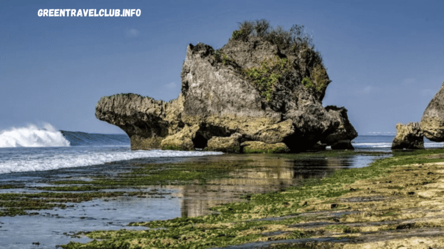 greentravelclub.info