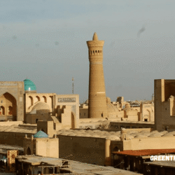 greentravelclub.info