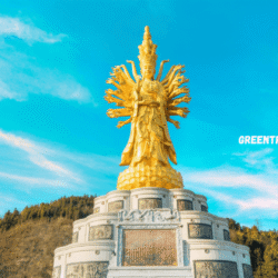 greentravelclub.info