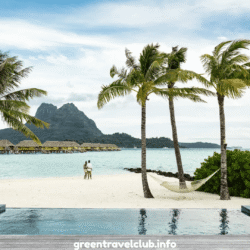 greentravelclub.info