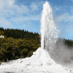 greentravelclub.info