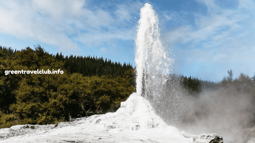 greentravelclub.info