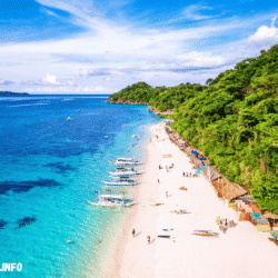 greentravelclub.info