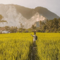 greentravelclub.info