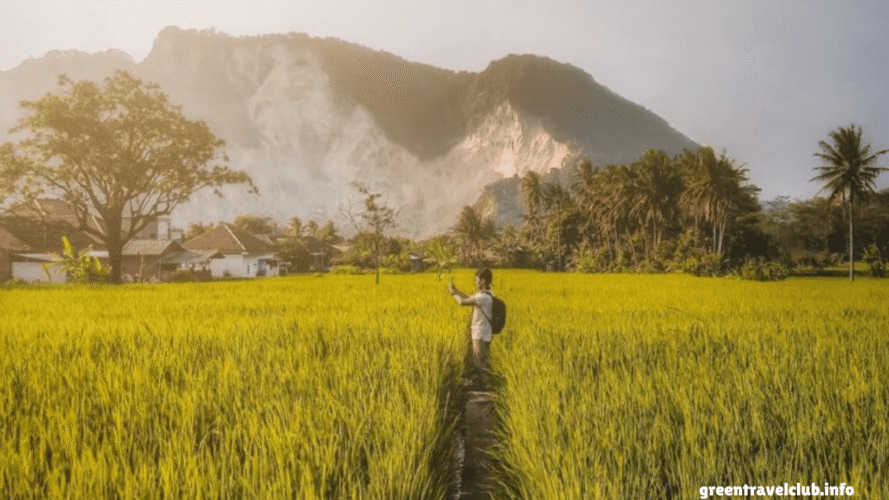 greentravelclub.info