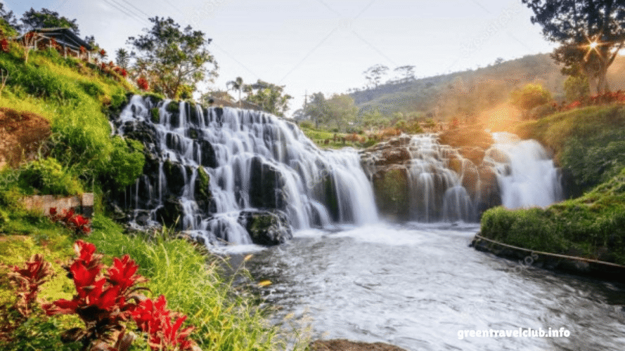 greentravelclub.info