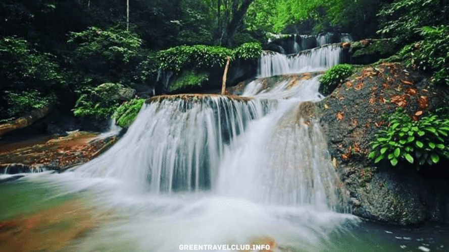 greentravelclub.info