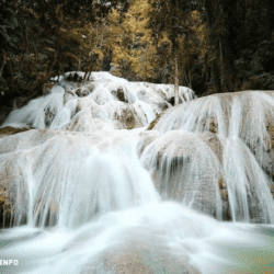 greentravelclub.info