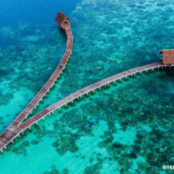 greentravelclub.info