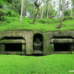 greentravelclub.info