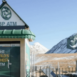 greentravelclub.info