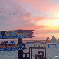 greentravelclub.info