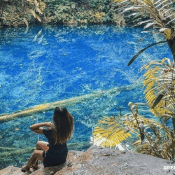 greentravelclub.info