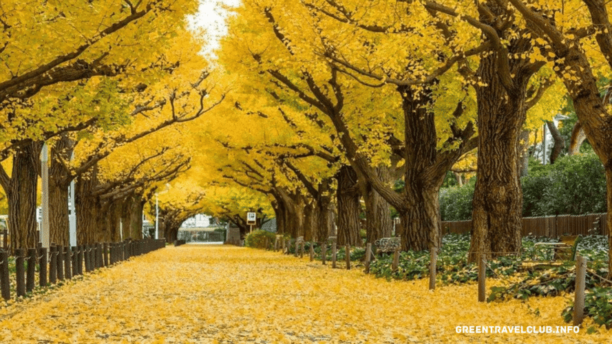 greentravelclub.info