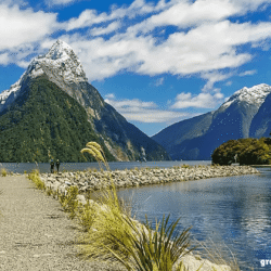 greentravelclub.info