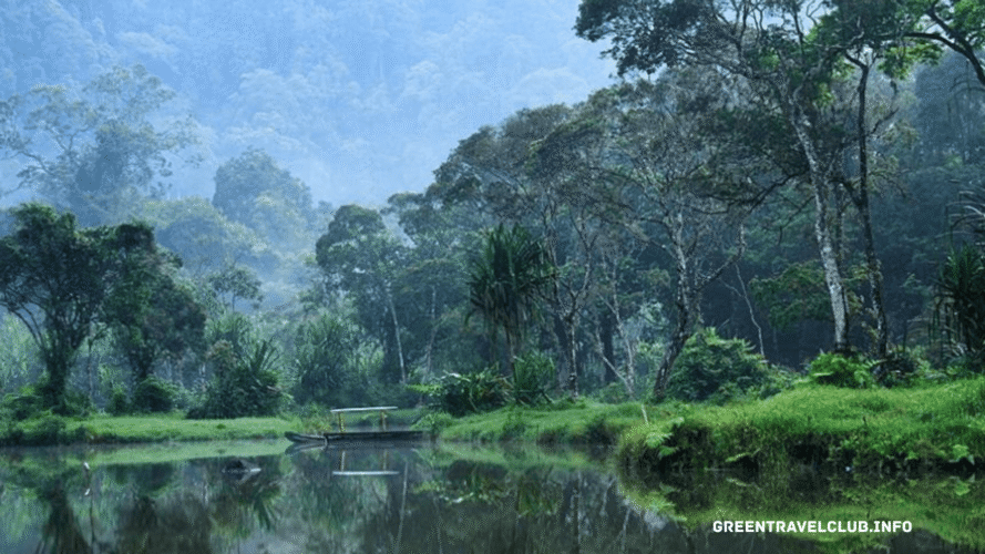 greentravelclub.info