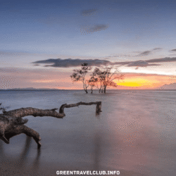 greentravelclub.info