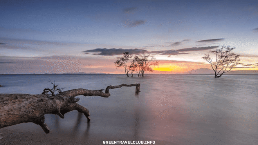 greentravelclub.info