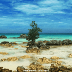 greentravelclub.info