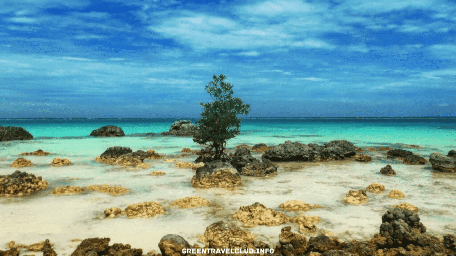 greentravelclub.info