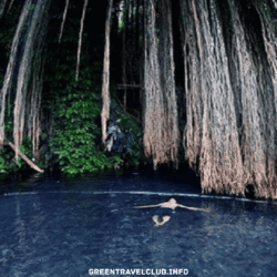 greentravelclub.info