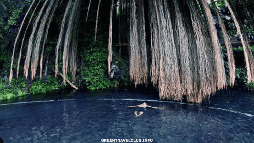 greentravelclub.info