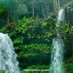 greentravelclub.info