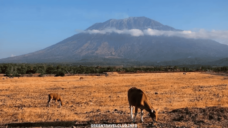 greentravelclub.info