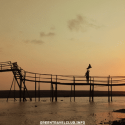 greentravelclub.info