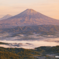 greentravelclub.info