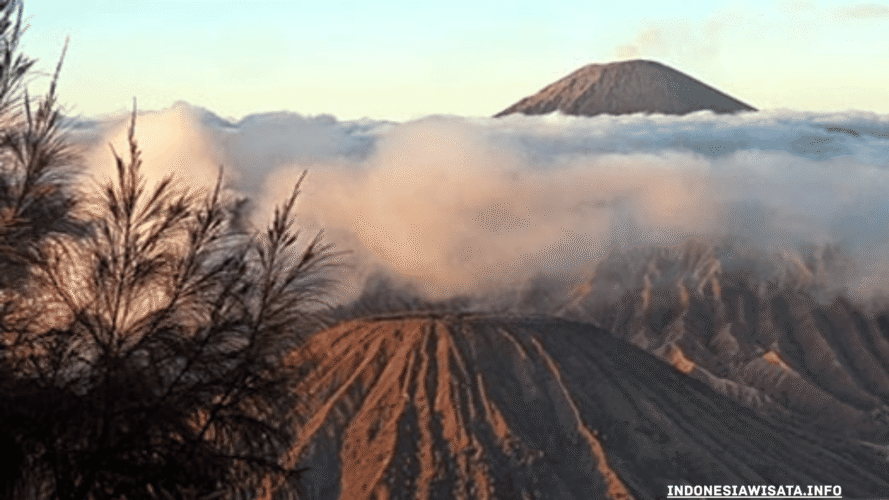 greentravelclub.info