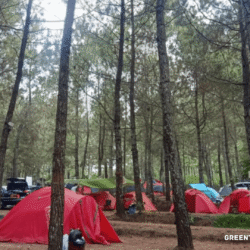 greentravelclub.info