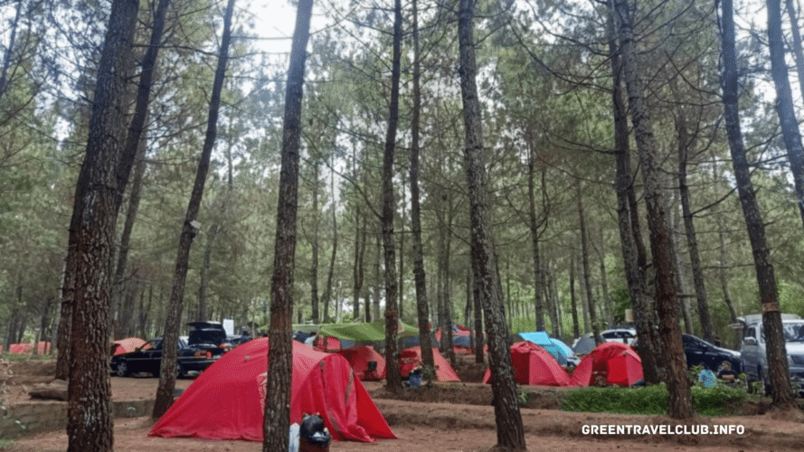 greentravelclub.info